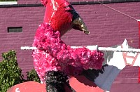 DSC_1091.jpg