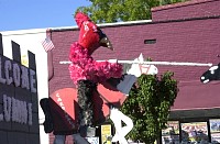 DSC_1092.jpg