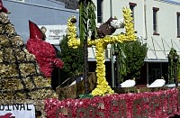DSC_1131.jpg