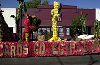 DSC_1135.jpg