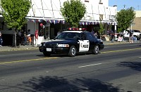 DSC_6181.jpg
