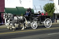 DSC_6314.jpg