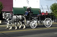 DSC_6315.jpg