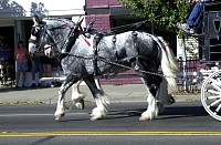 DSC_6317.jpg
