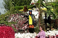 DSC_6396.jpg
