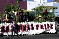 DSC_6398.jpg
