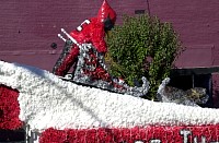 DSC_6443.jpg