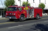 DSC_6447.jpg