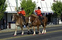 DSC_6451.jpg