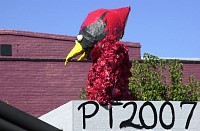DSC_0115.jpg