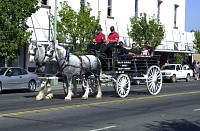 DSC_0170.jpg