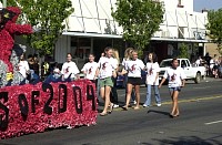 DSC_0245.jpg