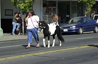 DSC_0259.jpg