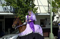 DSC_0270.jpg
