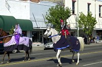 DSC_0272.jpg