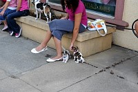 DSC_2522.jpg