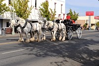 DSC_2812.jpg
