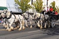 DSC_2824.jpg