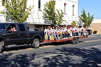DSC_8329.jpg