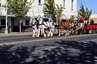 DSC_8345.jpg