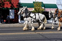 DSC_8352.jpg
