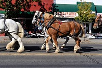 DSC_8355.jpg
