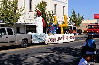DSC_8379.jpg