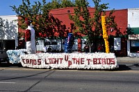 DSC_8384.jpg