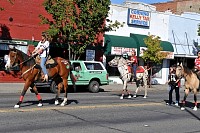DSC_5294.jpg