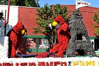 DSC_5618.jpg