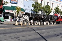 DSC_5659.jpg