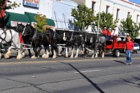 DSC_5662.jpg