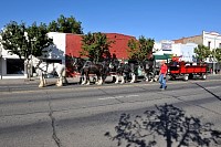 DSC_5665.jpg