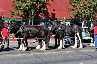 DSC_5668.jpg