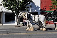DSC_5673.jpg
