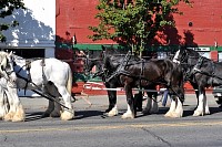 DSC_5677.jpg
