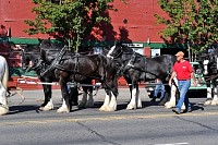 DSC_5680.jpg