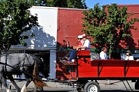 DSC_5685.jpg