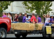 DSC_4239.jpg