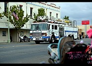 DSC_4436.jpg