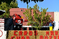DSC_5711.jpg