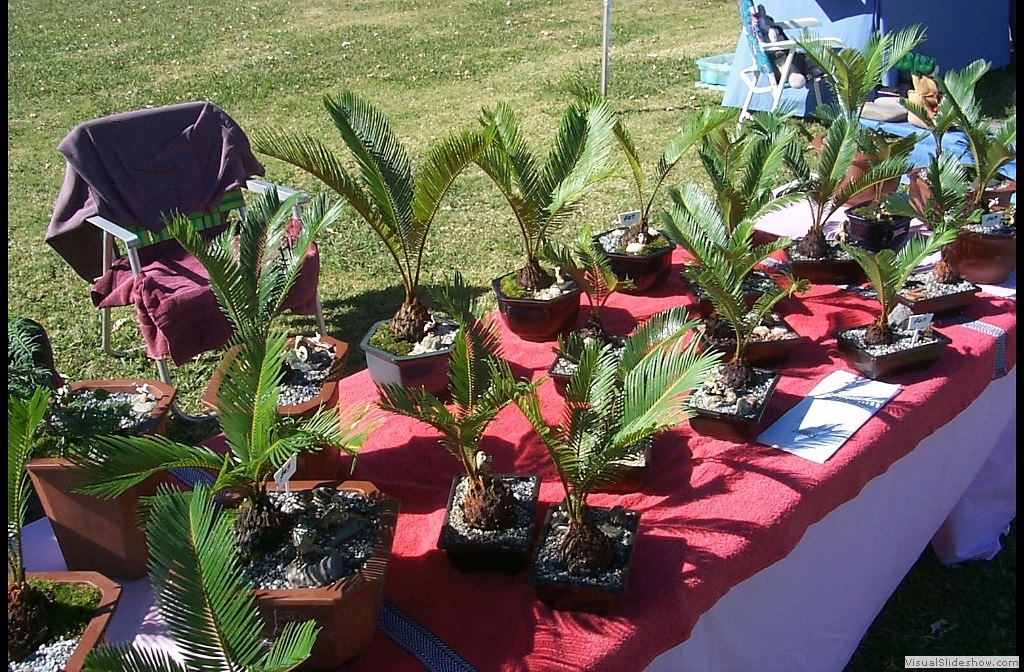 P0001025