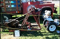 P0003936.jpg