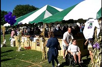 P0003969.jpg