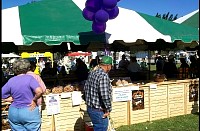 P0003975.jpg