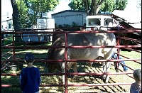 P0003980.jpg
