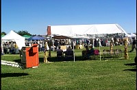 P0003985.jpg