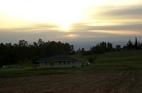 DSC_7699.jpg