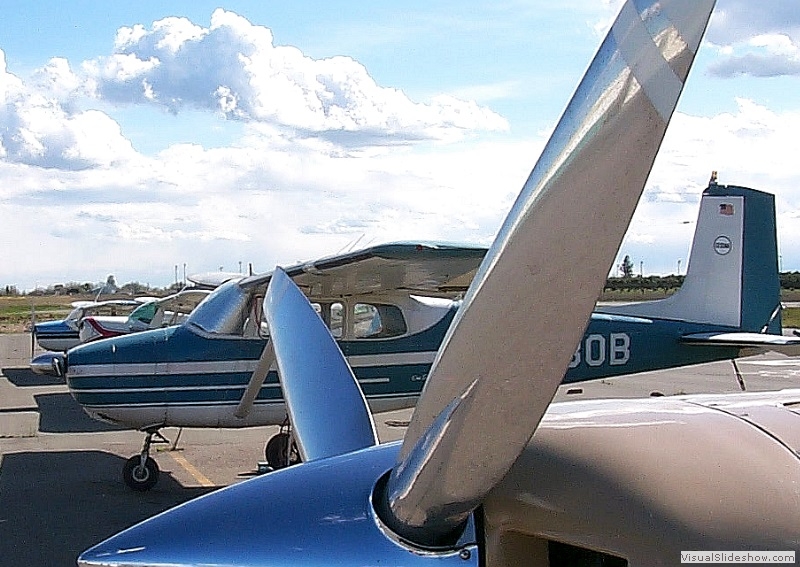 P0000031s