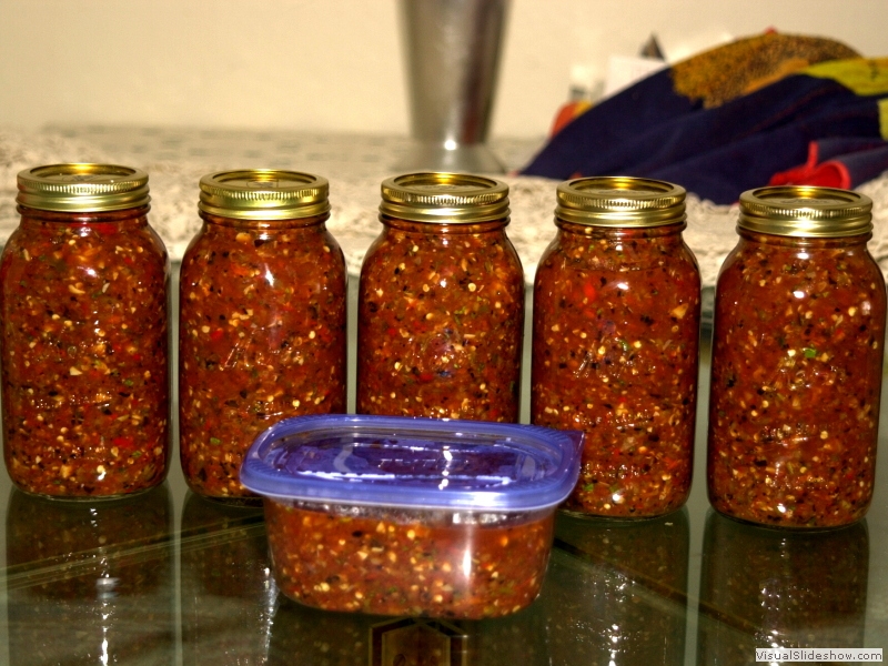 Salsa-1